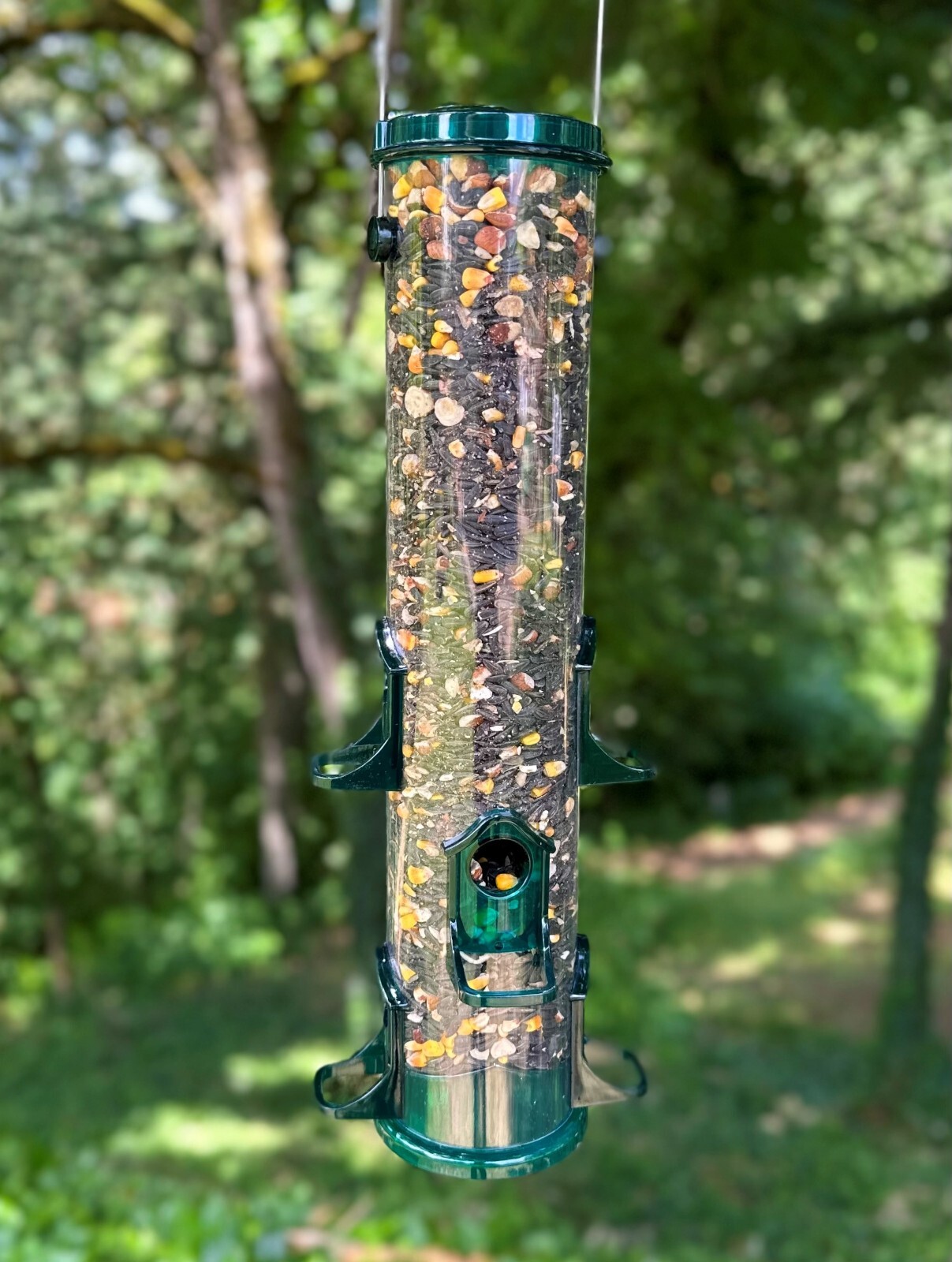 Hazelnut Whole & Broken Superior Wildlife Feed Blend | 3 lbs.