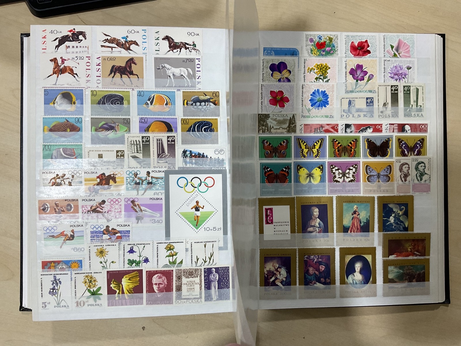 Poland stamps. Mostly mint. stock book. G/40