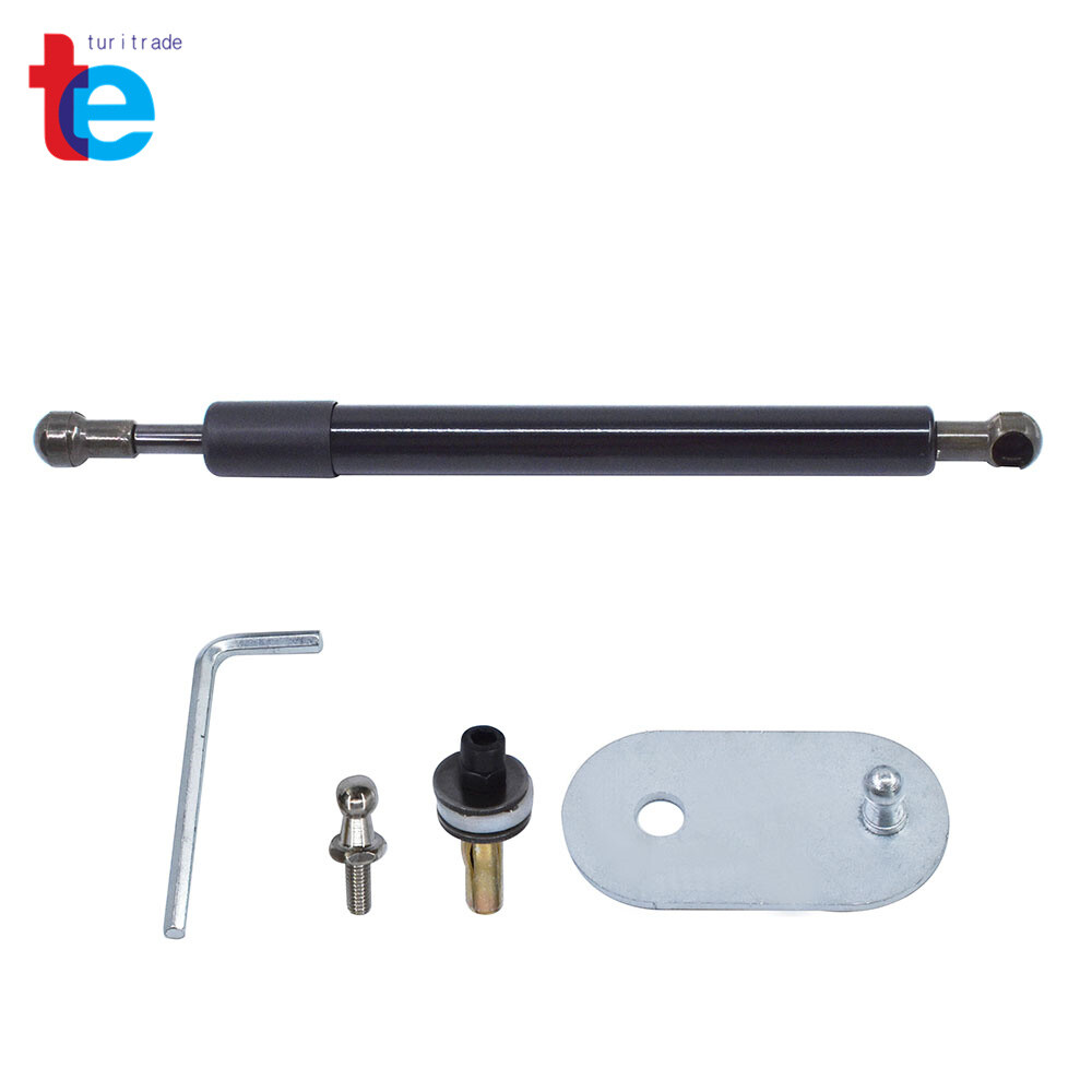 DZ43200 Tailgate Assist Lift Support Shock Struts For Ford F-150 2004-2010-2014