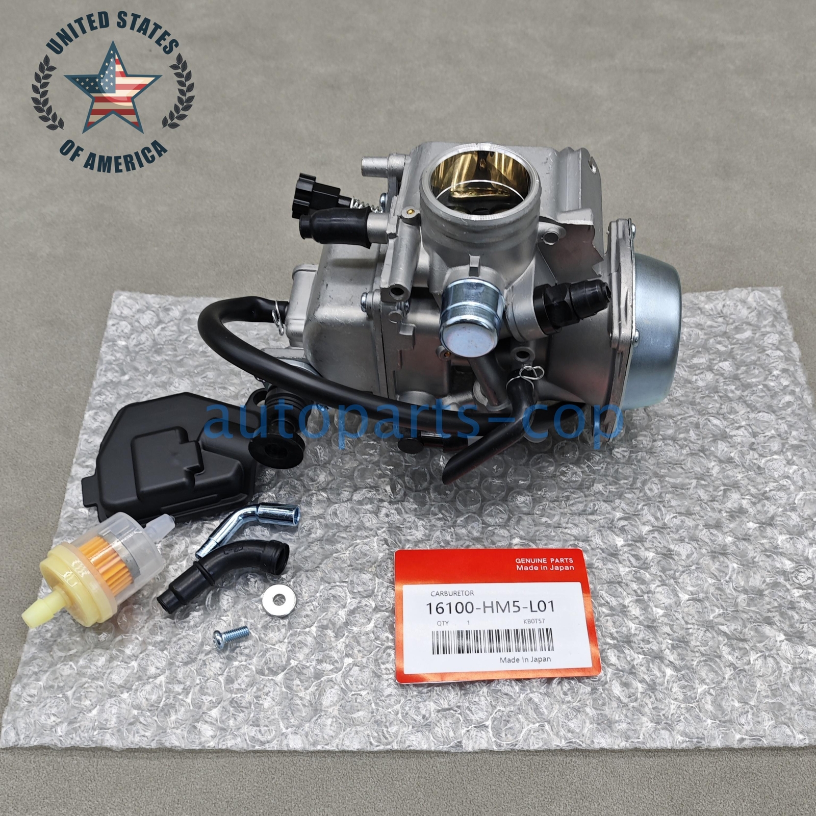 OEM Carburetor Fits For Honda 1988-2000 Fourtrax 300 TRX300 16100-HM5-L01 US