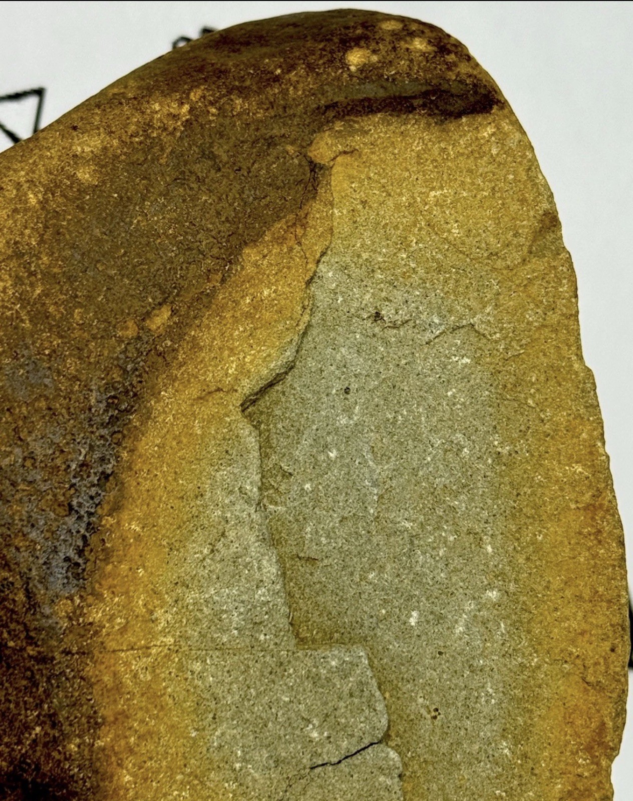 Native American Indian Authentic Artifact Stone Carved Effigy, 2 lb 12 oz • VA