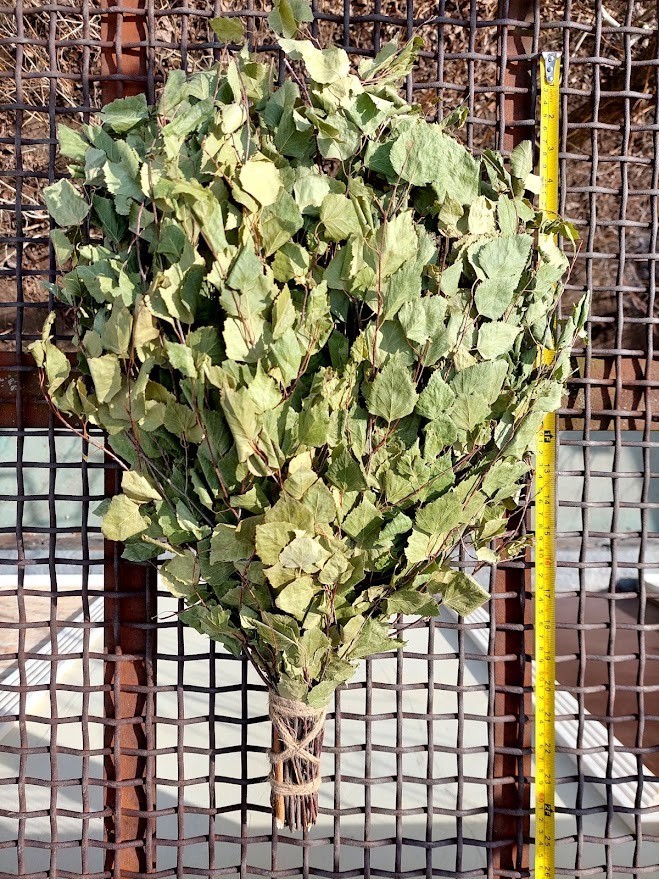 12st Birch brooms sauna banya venik whisks Eiche 2025 Ukrainian free shipping