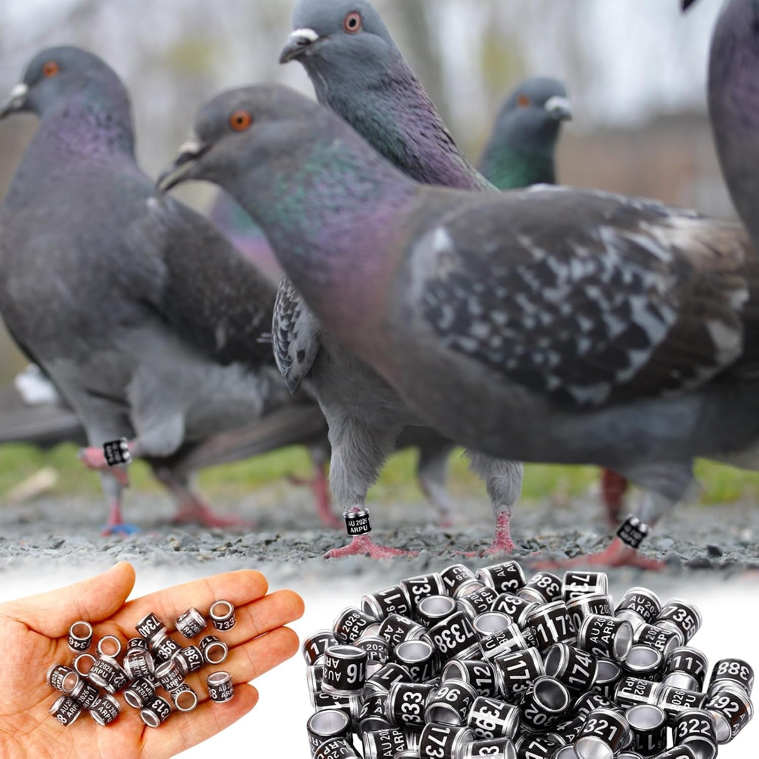100Pcs Aluminium Pigeon Leg Rings Dove Leg Rings Identify Pigeon Bands with 2...