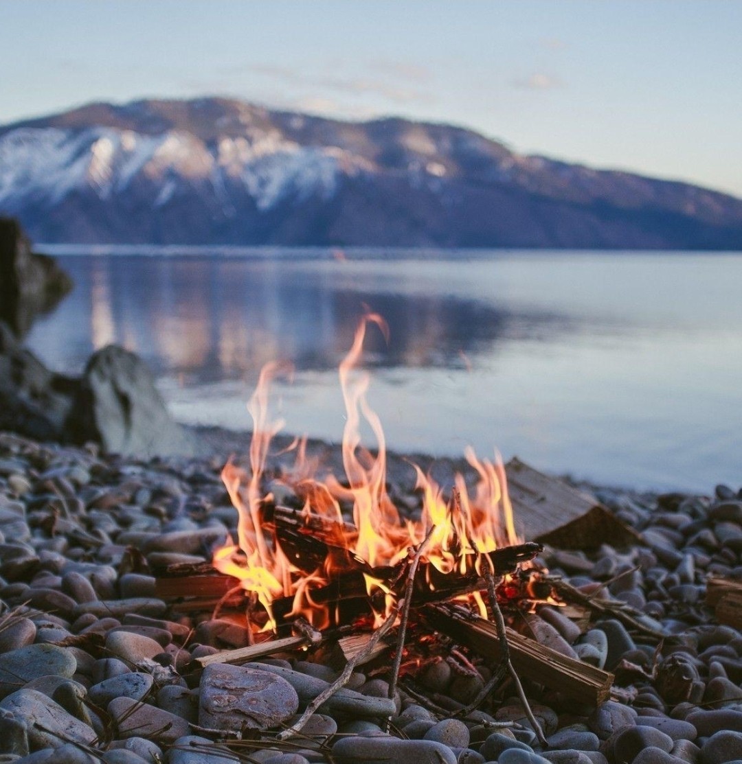 🔥 1 PACK Of 50 Fire Starter Plugs Survival Kit Waterproof Tinder Camping