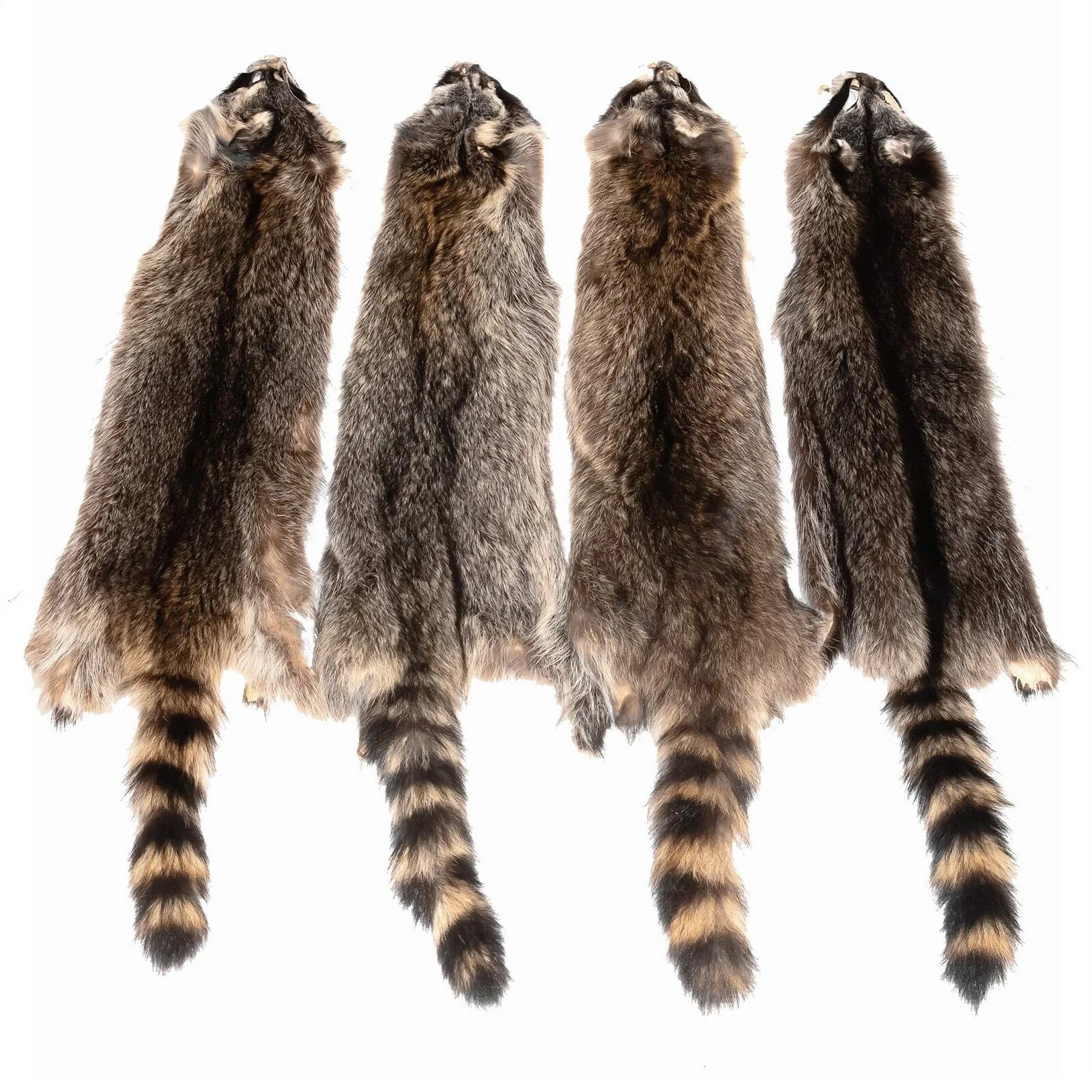 Soft Tanned Raccoon Premium Grade