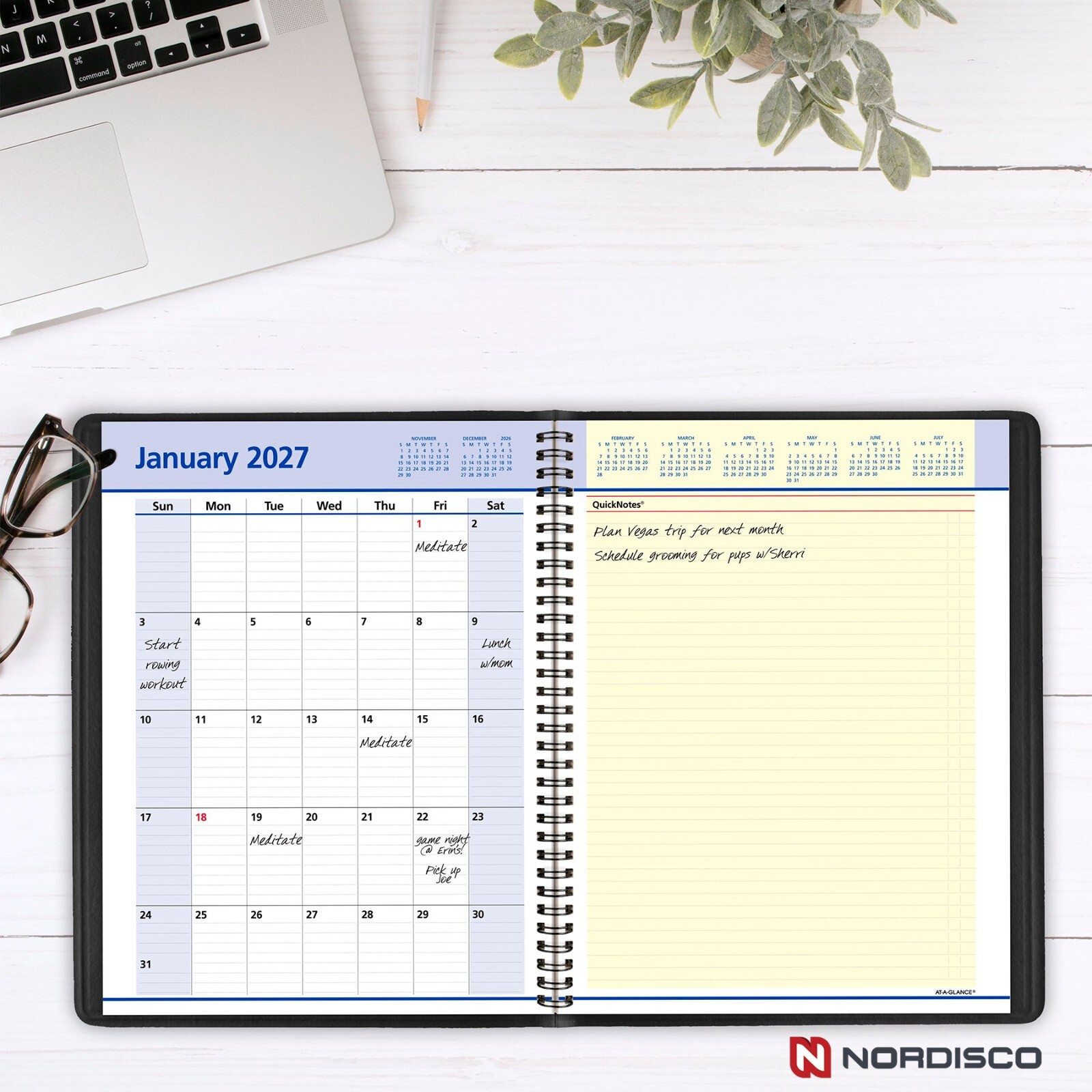 2026 At-A-Glance QuickNotes 76-950-05 Weekly Monthly Appointment Book, 8 x 11"