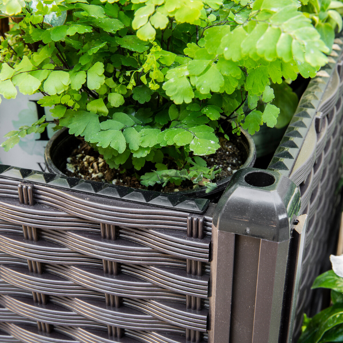 Barton 2 Pieces Raised Garden Bed Brown Plastic w/Self-Watering Design Outdoor