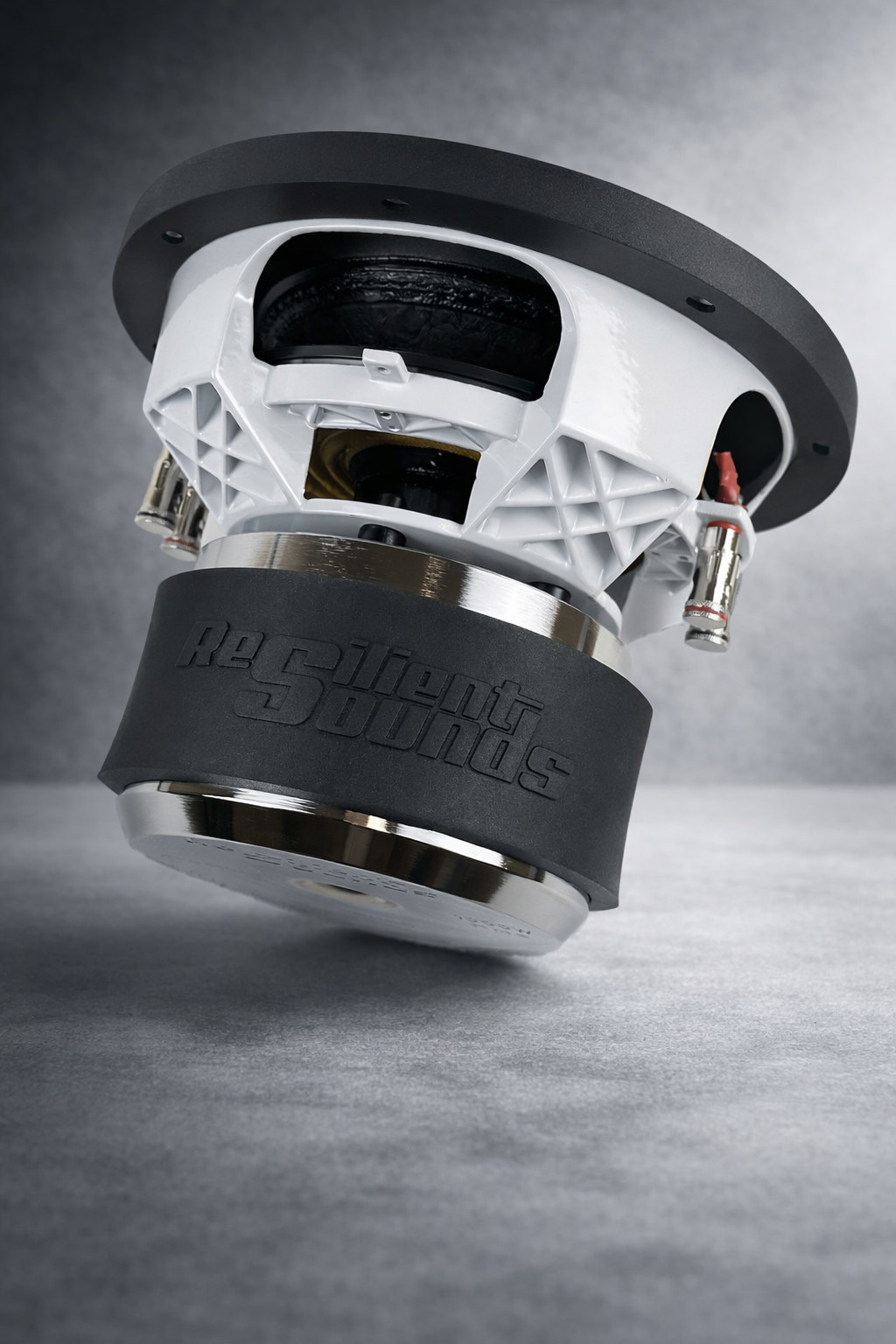 Resilient Sounds GOLD 10 1,000RMS/2000Watt Peak (D4 OHM LOAD) 10inch subwoofer