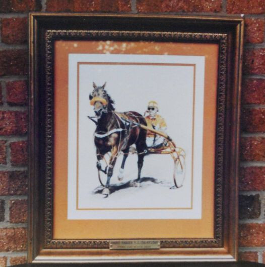 NEW! Quality USA TOKLAT 4 Pack Cotton Flannel Leg Bandages 6" X 16' HTF 4 HORSE