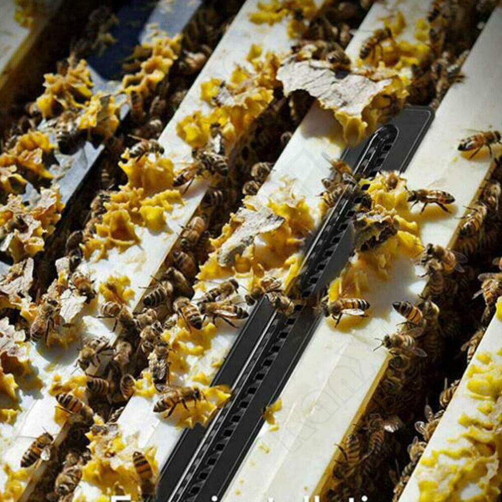 10X Plastic Small Bee Hive Beetle Blaster BeeHive Beetle Trap Beekeeping Tool US