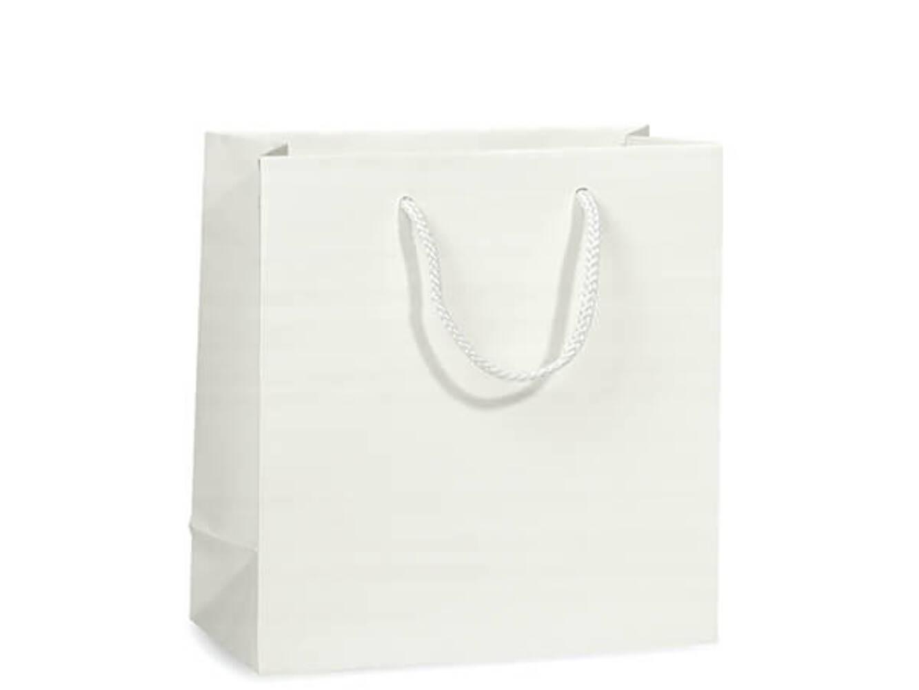 Small White Matte Paper Cord Handle Gift Bag