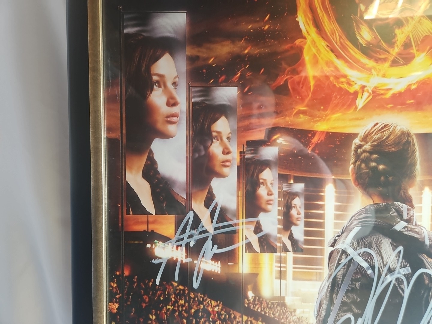 2012 NECA LIONSGATE THE HUNGER GAMES MOVIE ARENA POSTER 22x34 Signed By CAST!!