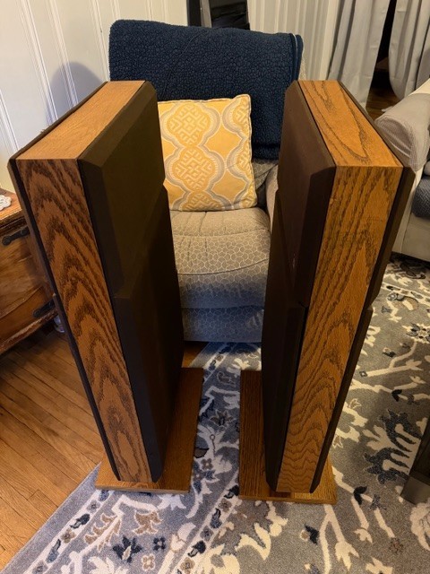 Bertagni (BES) SM-275 Planar Omnidirectional Panel Speakers 1 Owner SERVICED