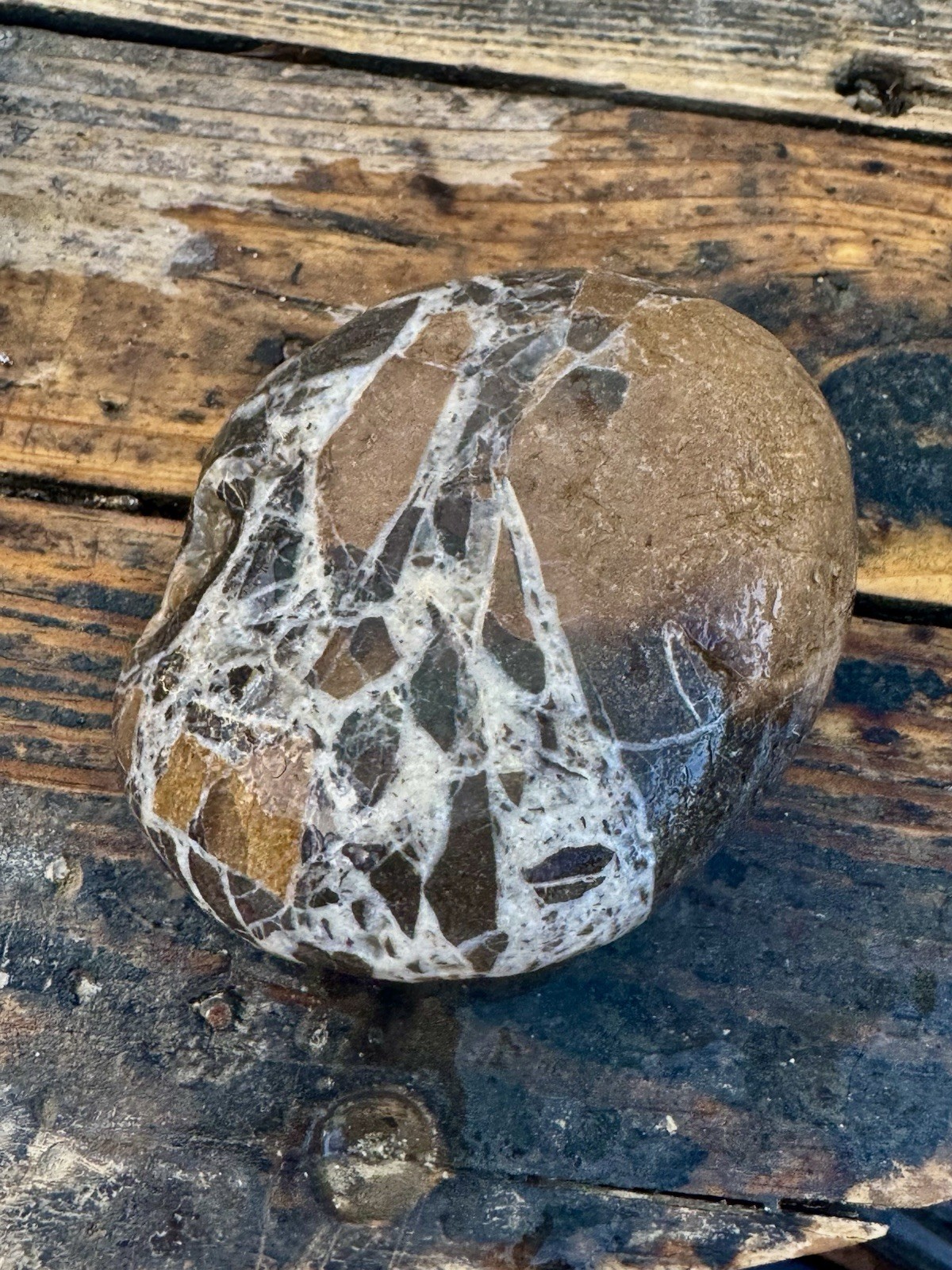 Rocks For Sale Beautiful Matrix Conglomeration Stone Rough Unpolished