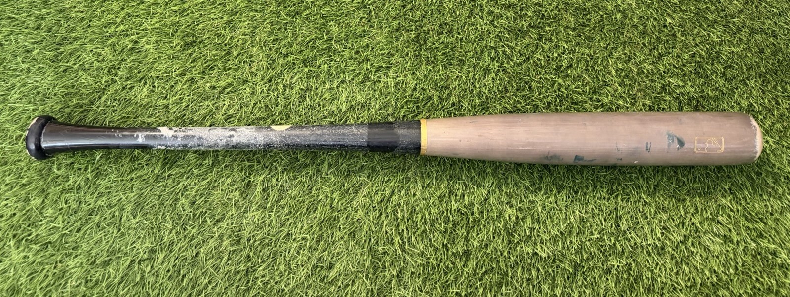 Junior Caminero 2025 Tampa Bay Rays Game-Used & Signed Bat GUG LOA