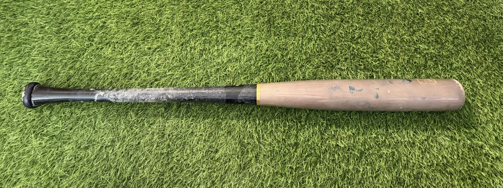 Junior Caminero 2025 Tampa Bay Rays Game-Used & Signed Bat GUG LOA