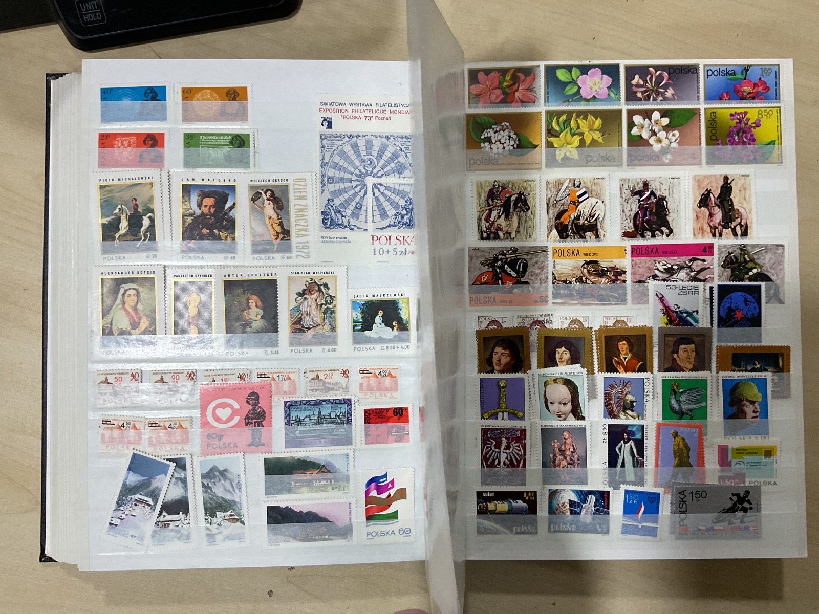 Poland stamps. Mostly mint. stock book. G/40