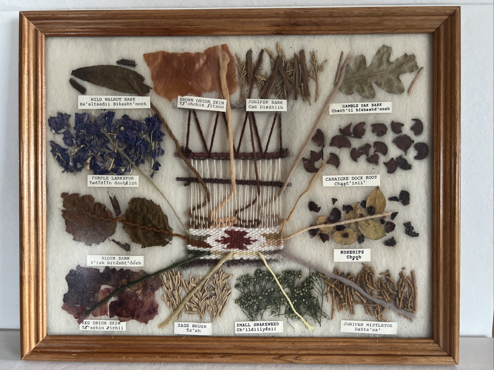 Handmade NATIVE AMERICAN PLANT DYE HERB ILLUSTRATED PICTURE SAMPLER WOVEN