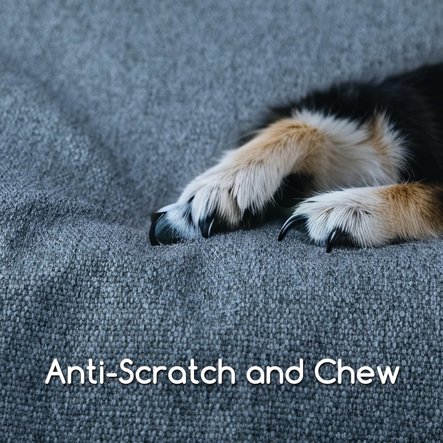 Dog Bed for Large Medium Small Dogs/Puppy, Rectangle Washable, Orthopedic, Soft