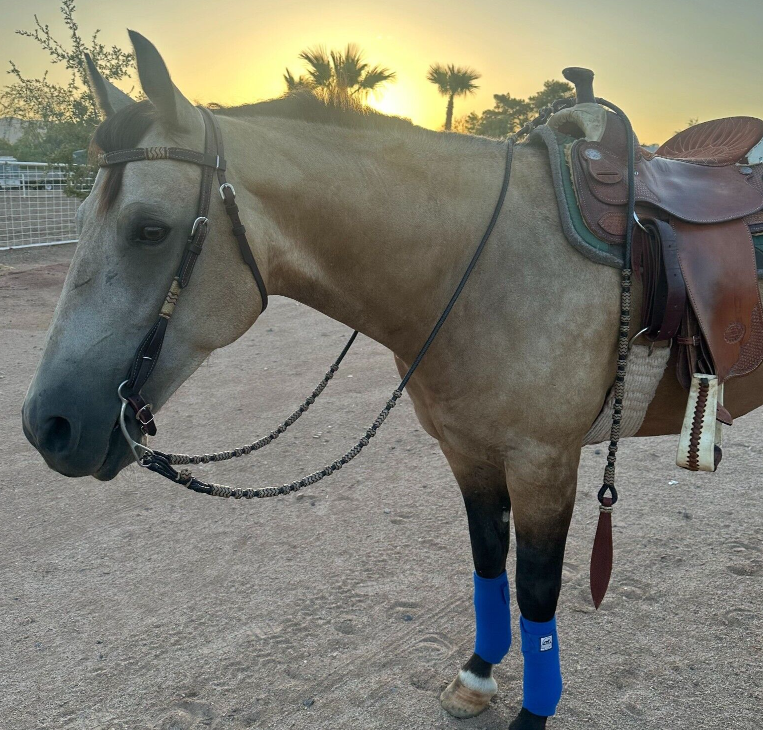Romal Reins Dark Chocolate Brown, 10 Plaits Romel Reins, 45" Romel Reins.
