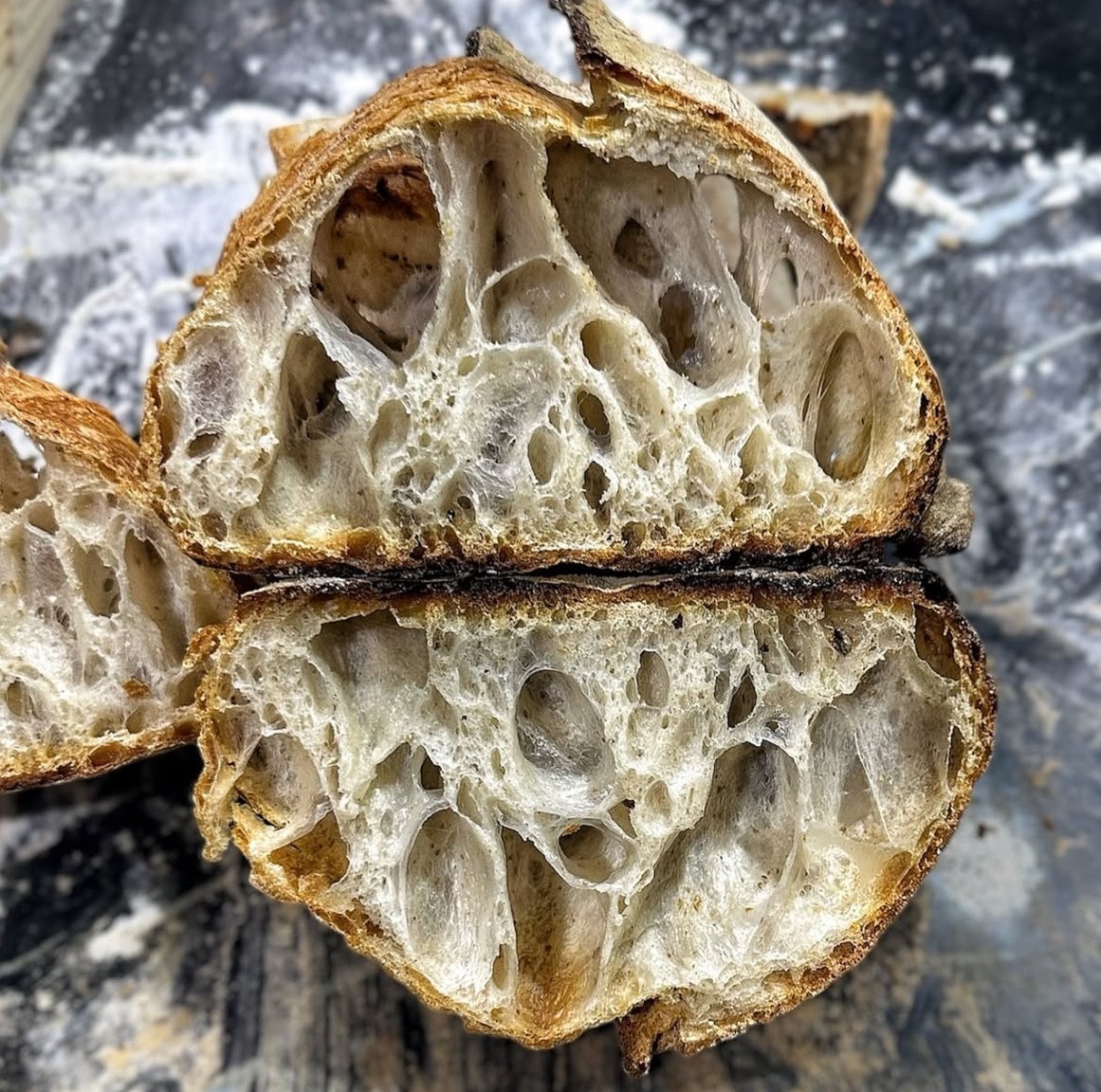 4500 year old Ancient Egyptian Sourdough Starter - Organic Dehydrated Culture