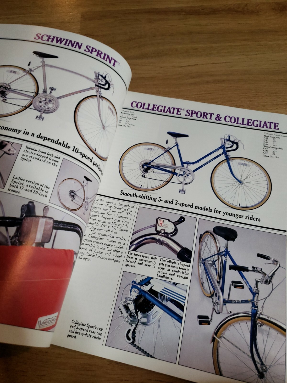 Vintage 1981 Schwinn Bicycle Catalog road BMX scrambler sting predator