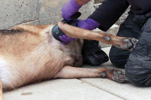 New H&H SWAT Tourniquet "Stretch Wrap And Tuck" Black or Orange