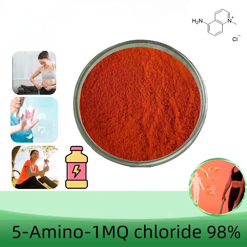 Wholesale Akersunder 5-AMINO-1MQ chloride, Purity 99.8+ %, 100 Grams
