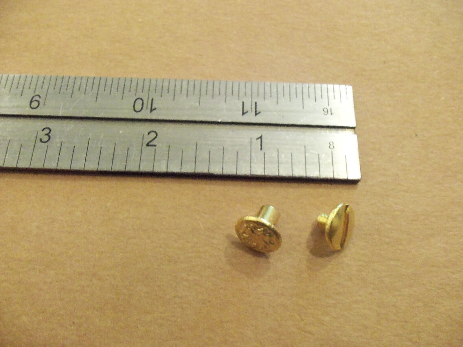1/4" Solid Brass Floral Head Chicago Screws (25 pack)