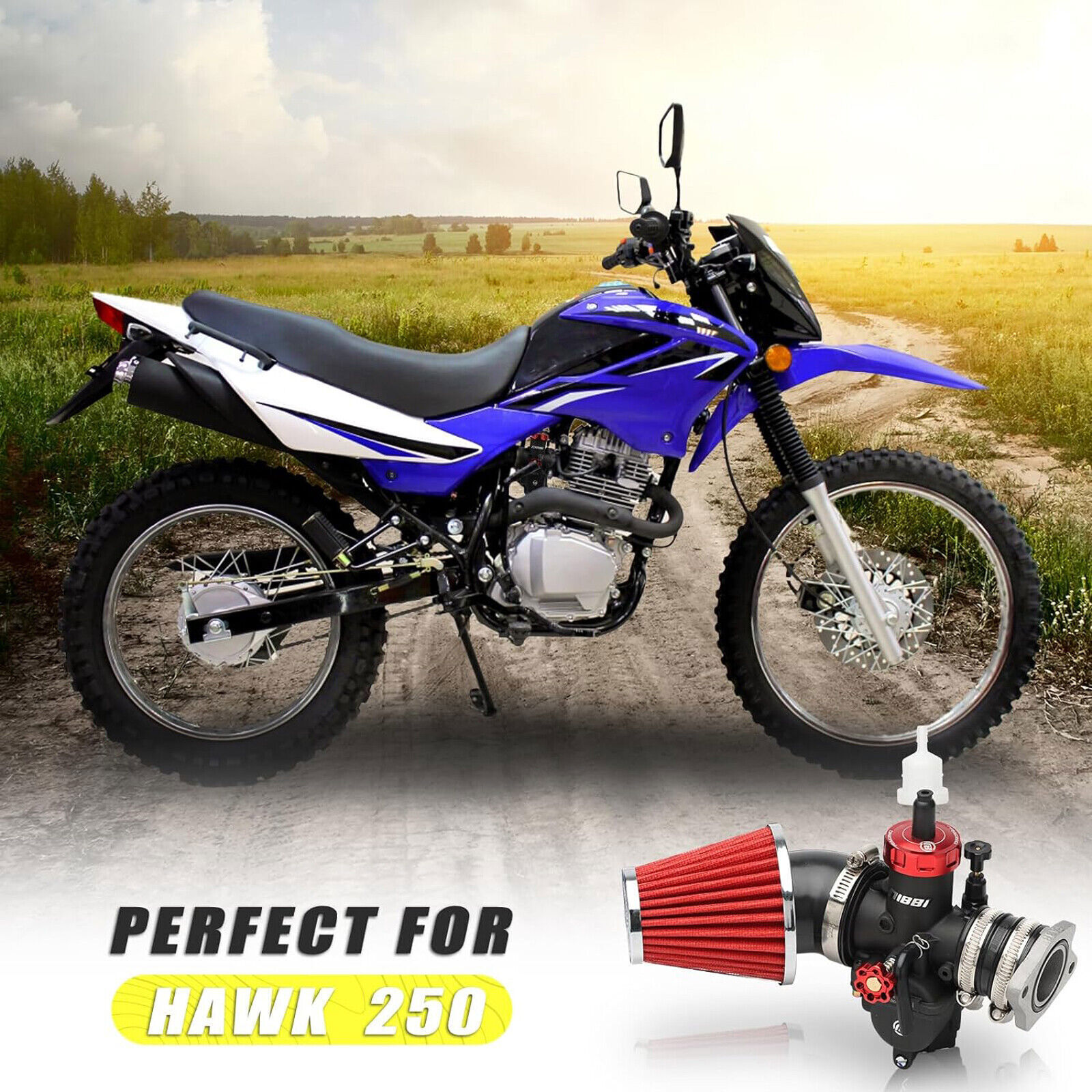 NIBBI 28mm Carburetor Complete Kit For Hawk 200 250 TBR7 DB36 ATV Dirt Bike XPRO