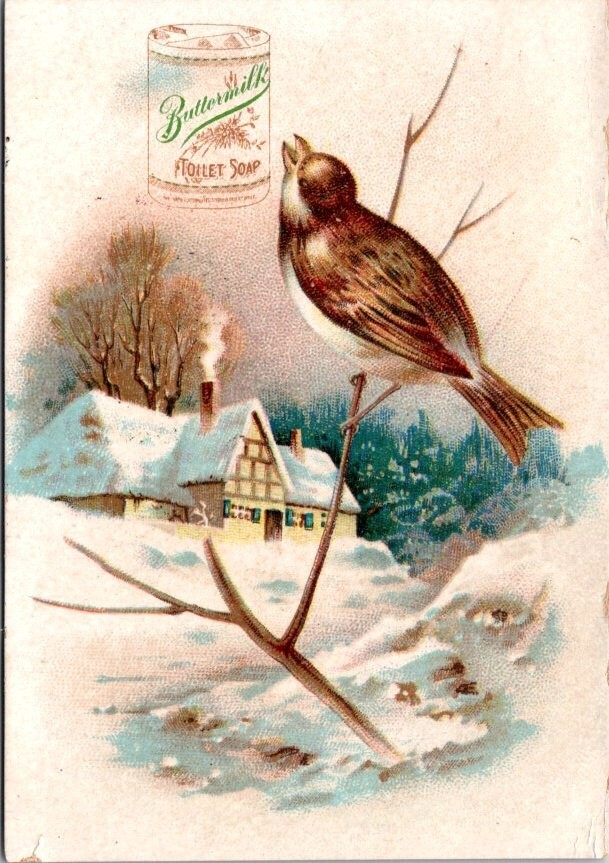 Cosmo Buttermilk Toilet Soap Shaving Stick Song Bird House Snow Scene JQV5