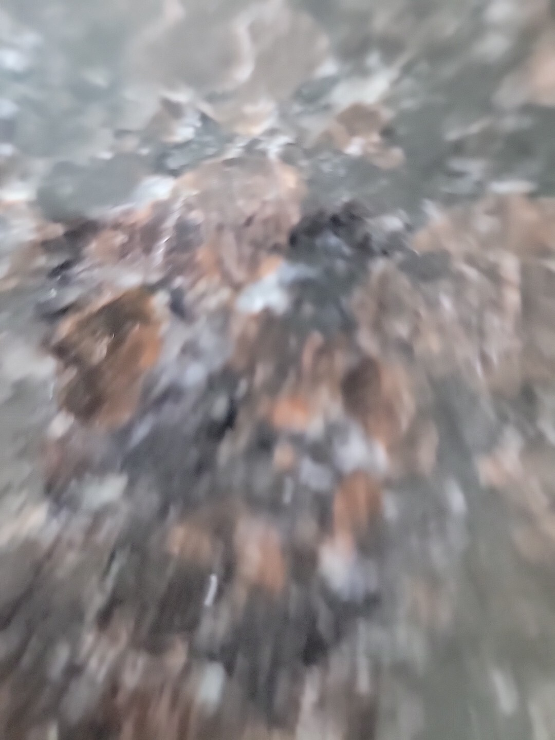 lithograph signed numbered framed prints Black Innocense Little Boy Rare Gift