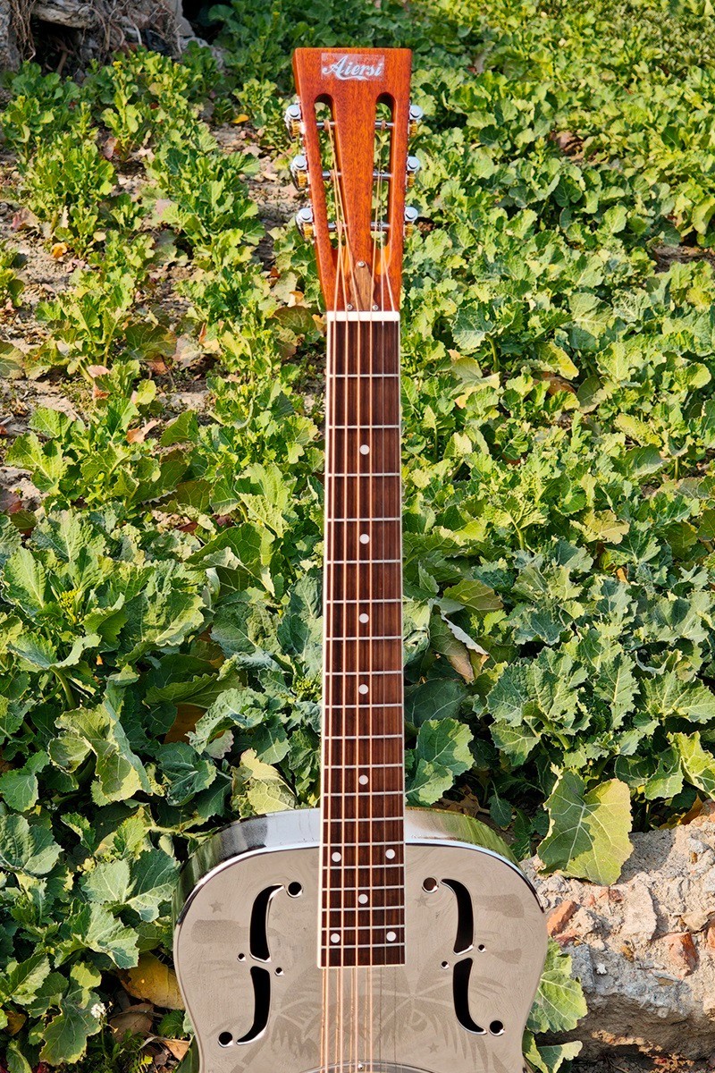 Aiersi O Style Glossy Tree Pattern Brass Resonator Guitar with Hard Case