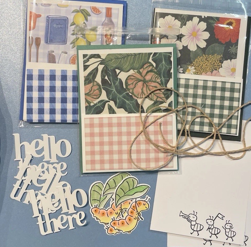 4 Stampin Up! SWEET BUGS “Hello There” Picnic Fun Double Fold DIY Card Kit
