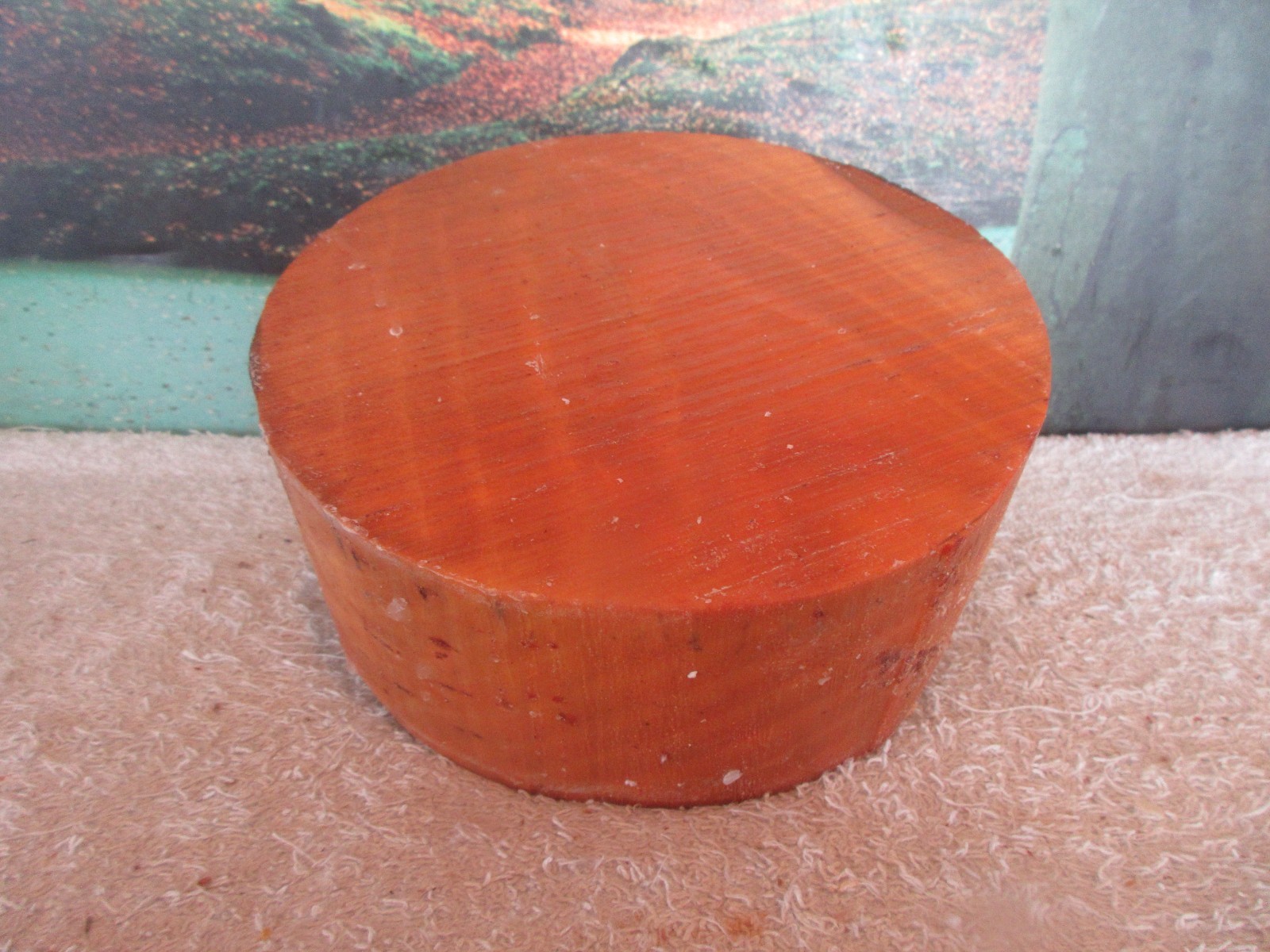 BRADFORD PEAR 7 X 3 TURNING WOOD BOWL BLANKS