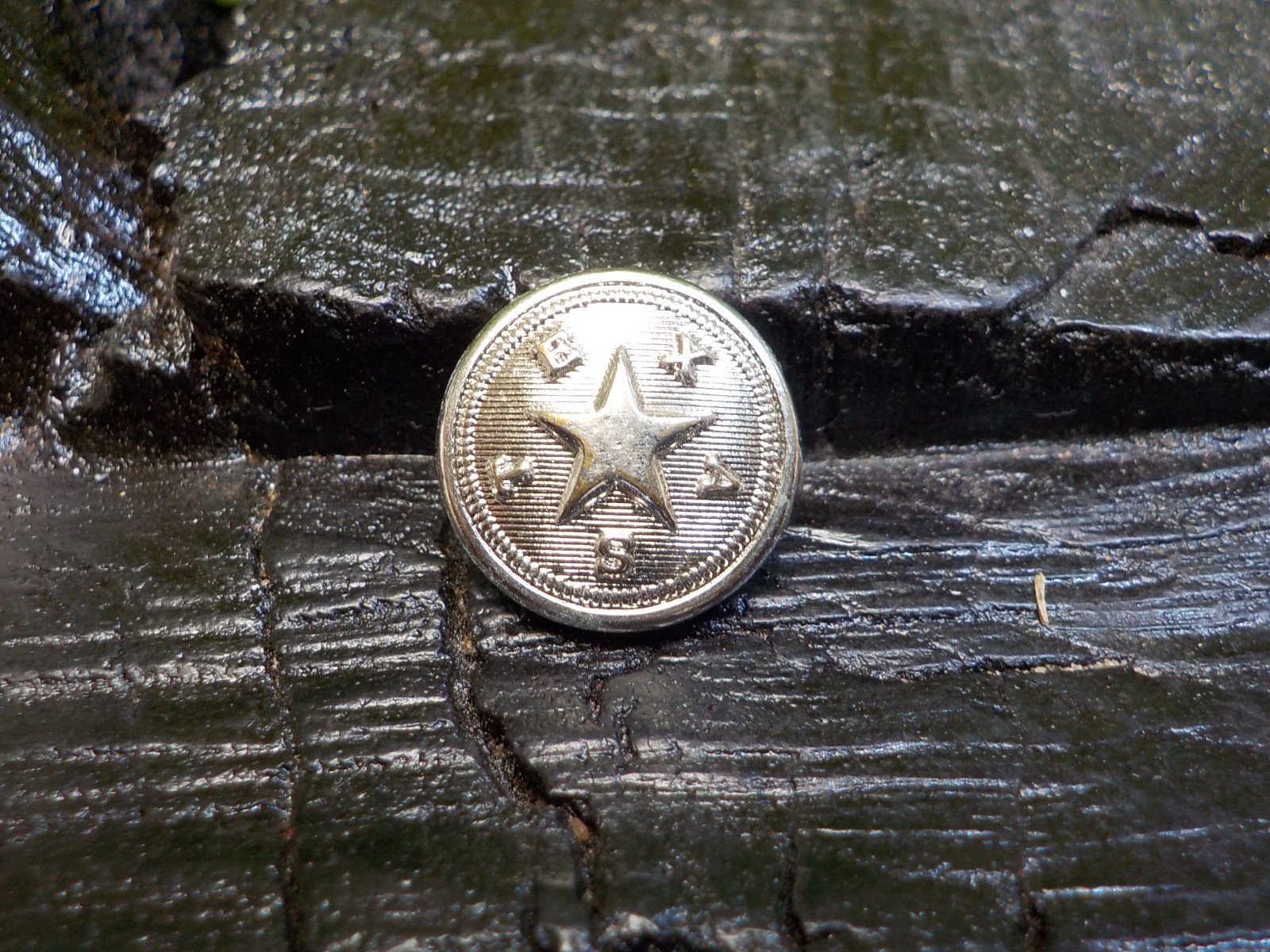 Texas State Seal Vest Button Silver Color with Free Button Case