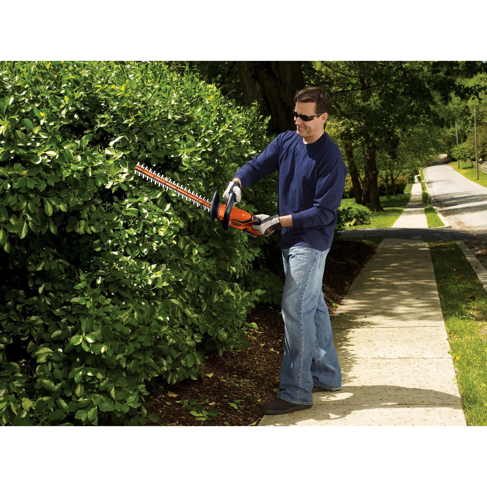 BLACK+DECKER 20V Max* Lithium 22 Inch Hedge Trimmer - LHT2220B