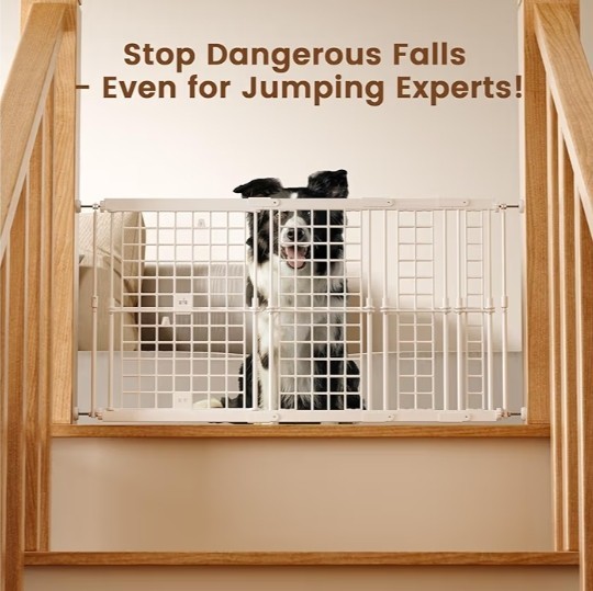 No Drill Adjustable Dog Gate, 13-22 Inch Height, 18-43 Inch Width, White Metal