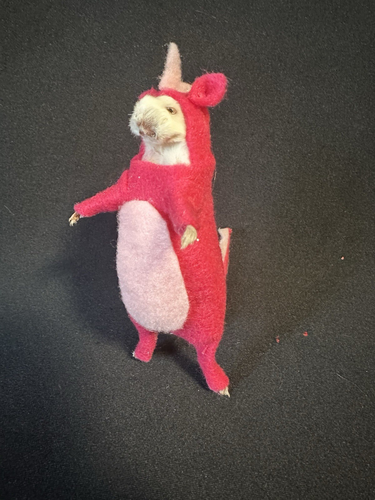 Taxidermy Mouse Dinosaur Mouse Oddities Curiosities Taxidermy Art