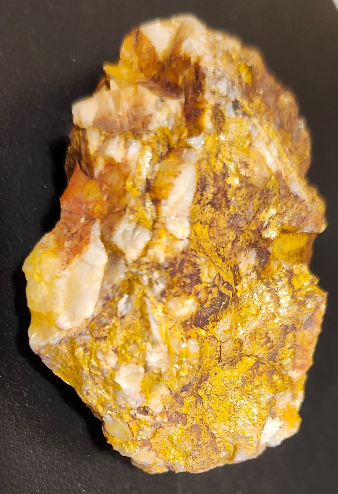 Gold Ore Specimen /Quality Visible Gold
