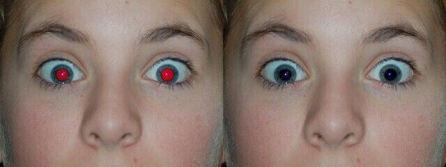 Ultimate Photo Editing Suite for Windows on DVD | Digital Image Editor Software