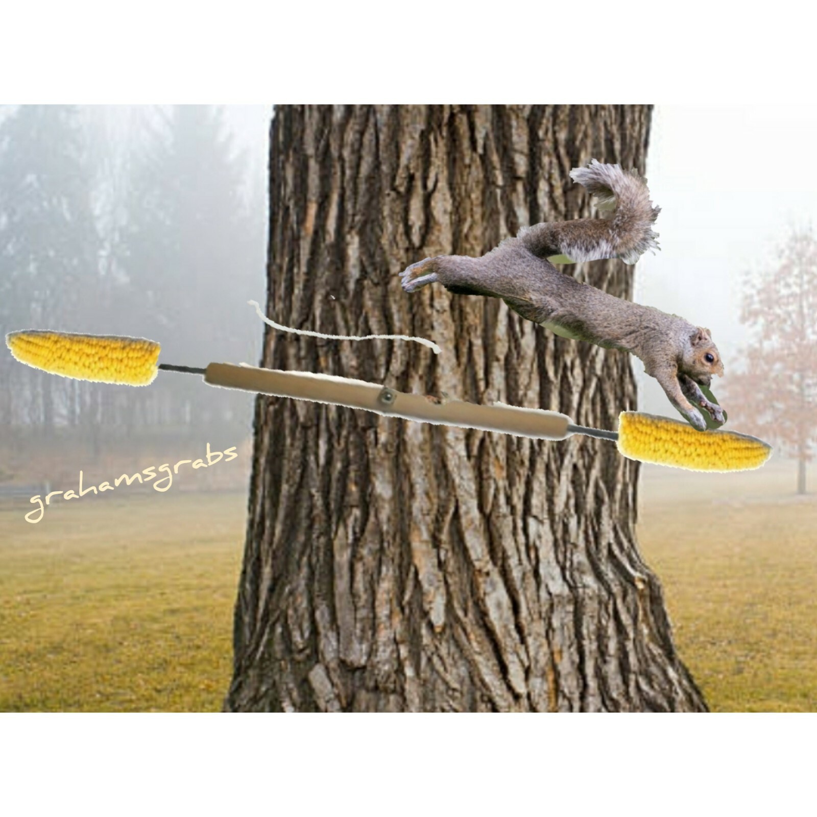 SQUIRREL SPINNER CORN FEEDER FUN SQUIRRELS LOVE IT SONGBIRD ESSENTIALS SEWF2150