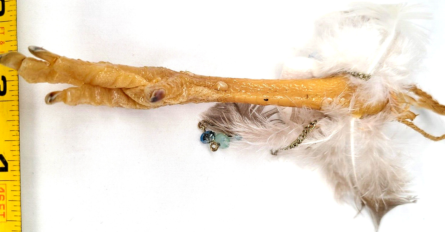 Good Luck Charm Lucky Charm Chicken Foot Voodoo Protection Occult Items Oddity