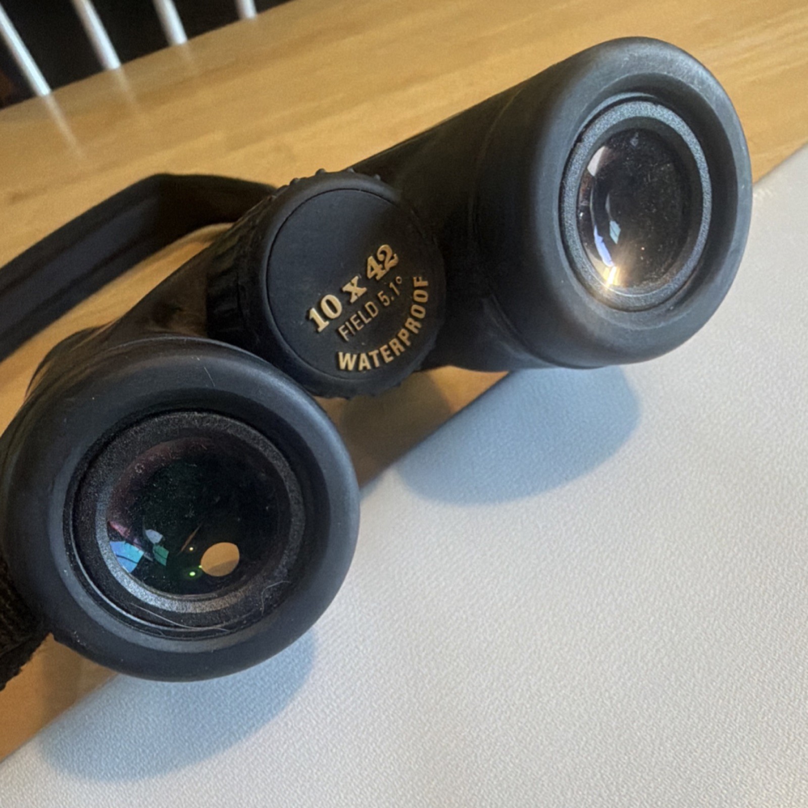 Leupold Wind River Cascades 10x42 Waterproof Black Binoculars