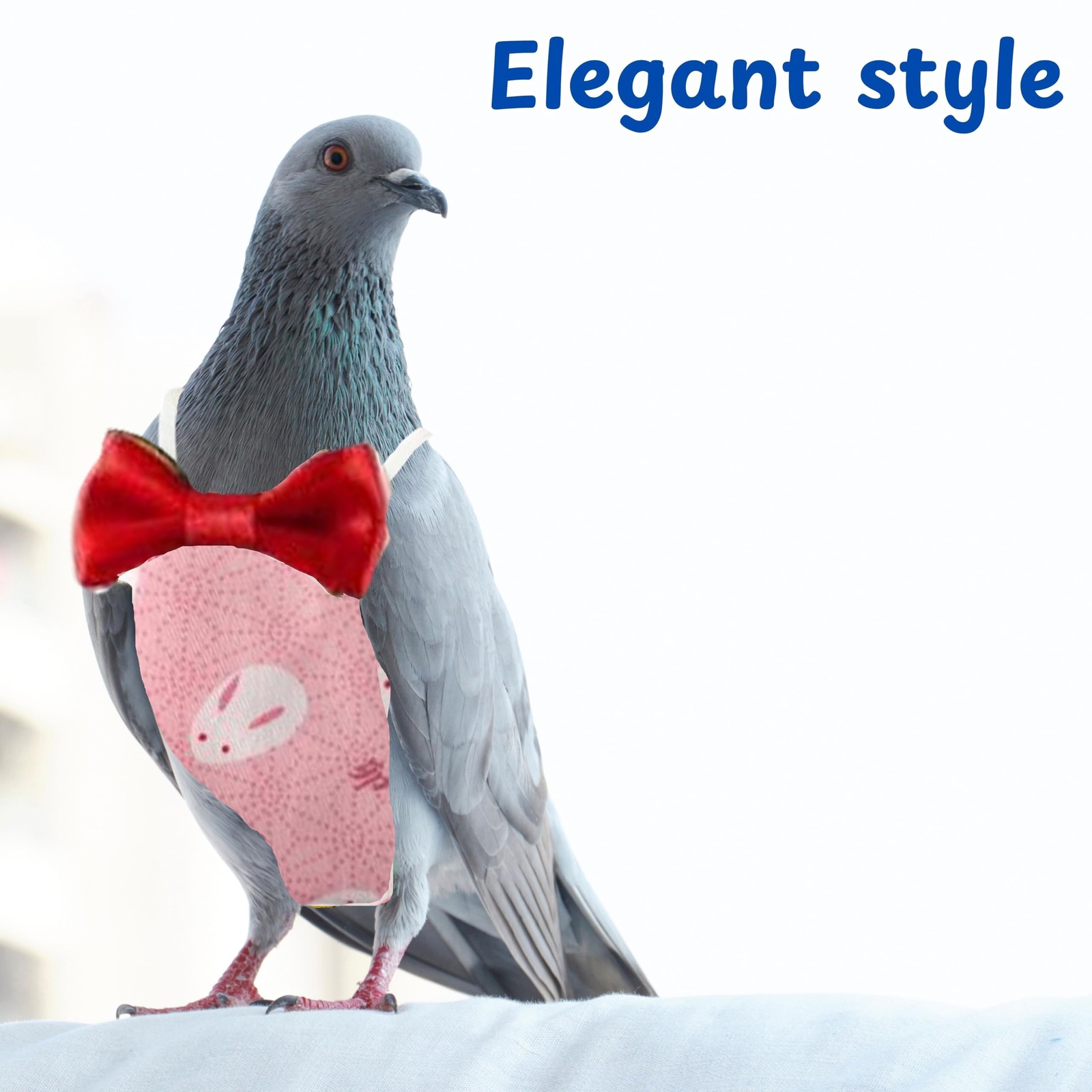 Pigeon Diaper Harness and Bird Leash Set, Birds Diapers for Pigeons and Leash...