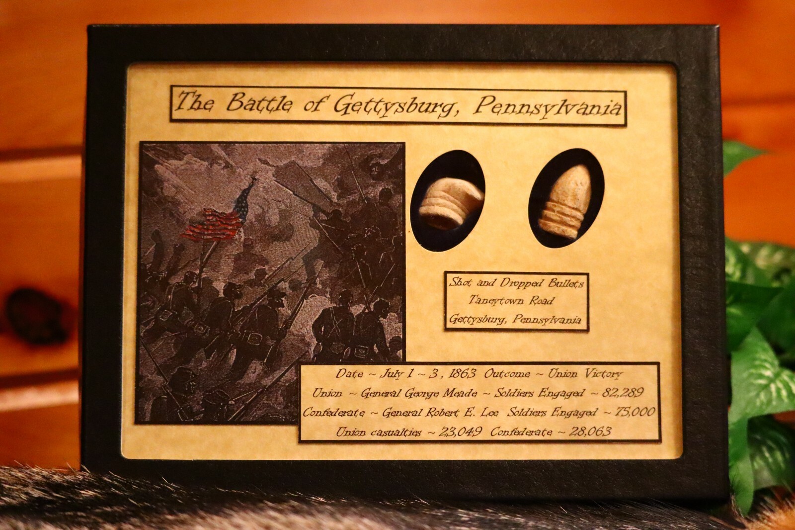 Dropped & Shot Civil War Bullets from Gettysburg in Matted Display Case with COA