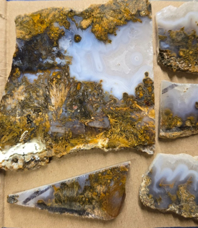 Sagenite Plume Agate Cabochon Slabs, Preforms, Slices, 8 Pcs, Flat 35