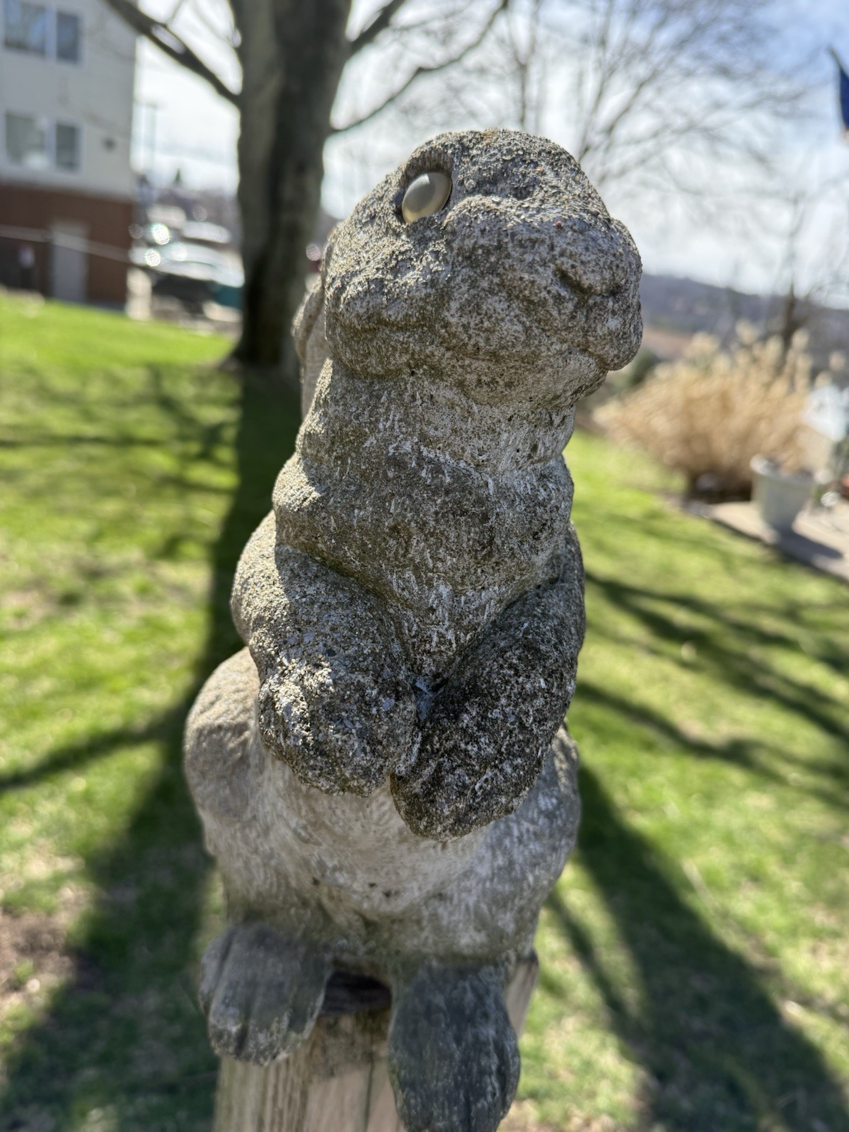 Vintage English Hare concrete bunny rabbit garden statue art