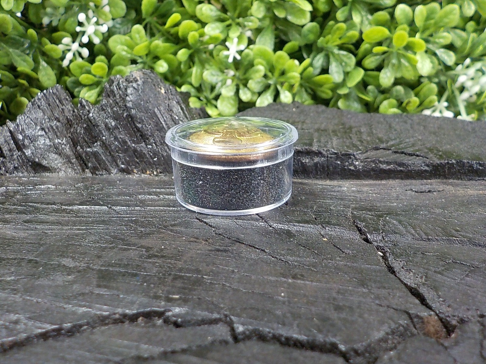 Old Rare Vintage Antique War Relic Military Musician Coat Button Loaded w/ Gold