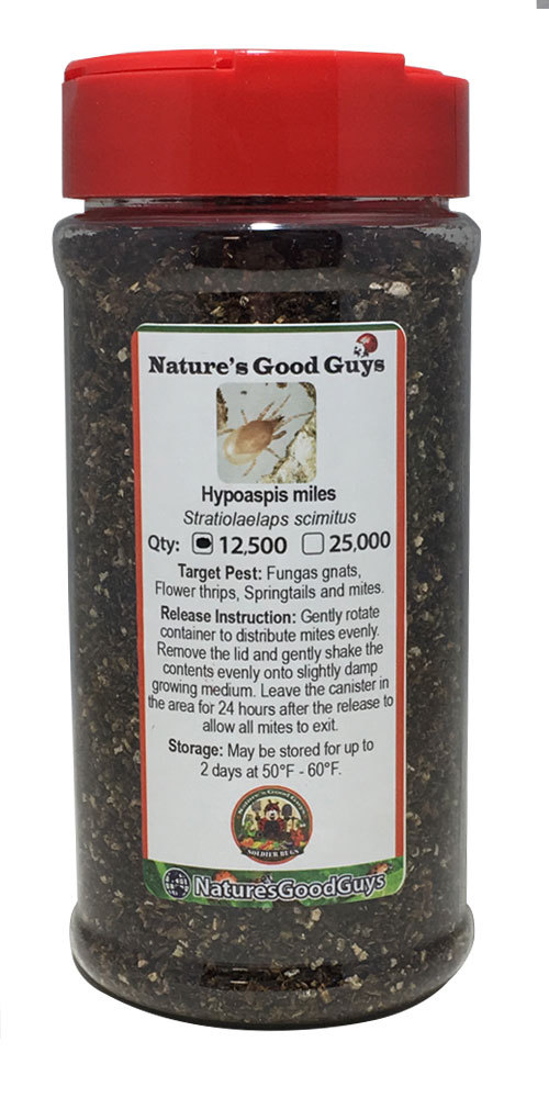 12,500 Live Hypoaspis Miles (Predatory Mites) - Fungus Gnats & Reptile Mites
